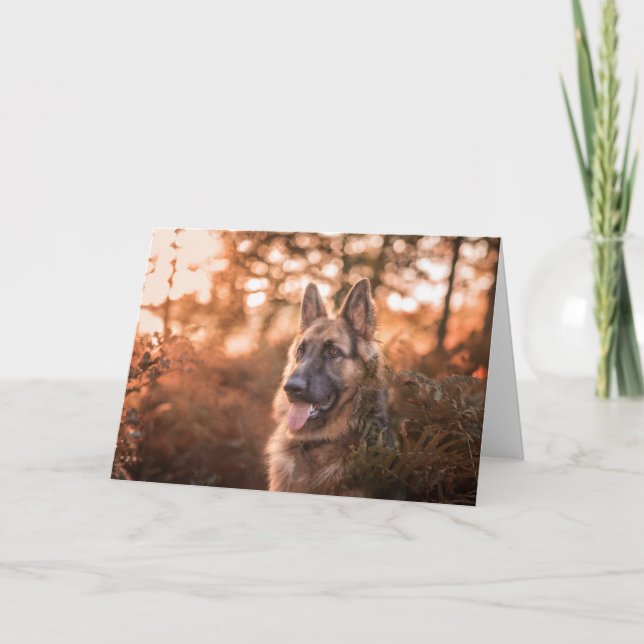 Cartes Pour Fêtes Annuelles Portrait berger allemand (Devant)