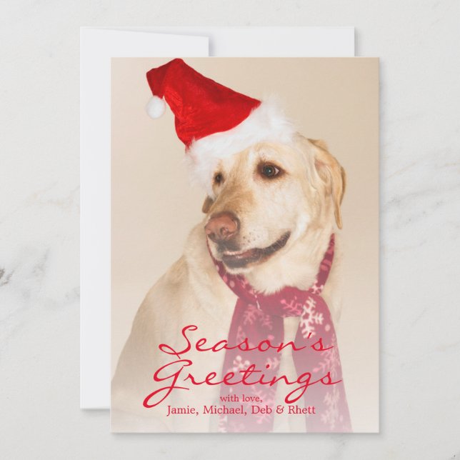 Cartes Pour Fêtes Annuelles Portrait de labrador retriever utilisant le (Devant)
