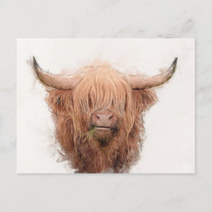 Cartes Pour Fêtes Annuelles Portrait de vache Highland