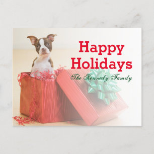 Cartes Pour Fêtes Annuelles Portrait d'un Boston Terrier blanc et marron