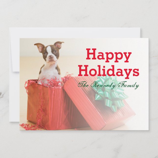 Cartes Pour Fêtes Annuelles Portrait d'un Boston Terrier blanc et marron (Devant)