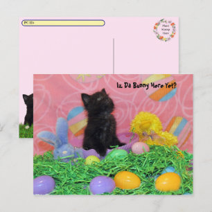 Cartes Pour Fêtes Annuelles Post-Croisement - Iz Da Lapin De Pâques Ici Encore