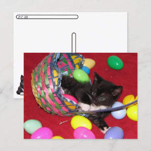 Cartes Pour Fêtes Annuelles Post-croisement - Versace's Easter Wives Chat /Kit