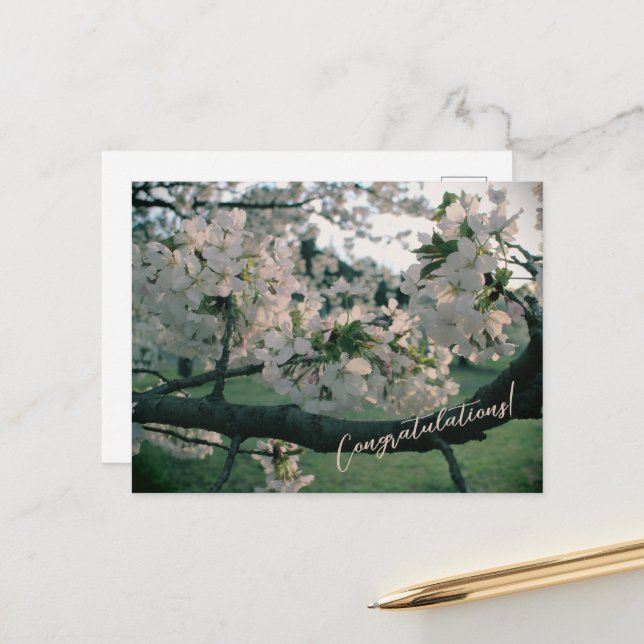 Cartes Pour Fêtes Annuelles PostCard Congratulations! (Devant/Arrière en situation)