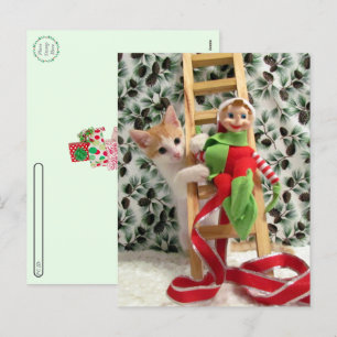 Cartes Pour Fêtes Annuelles Postcrossing - Annie la petite chatte et l'elfe 