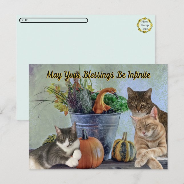 Cartes Pour Fêtes Annuelles Postcrossing Tito Taz & Annie's 2025 Thanksgiving  (Devant / Derrière)