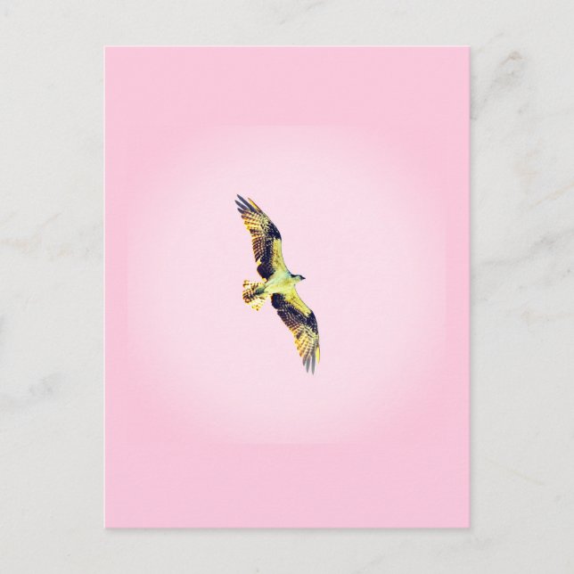 Cartes Pour Fêtes Annuelles Poster brillant (Devant)