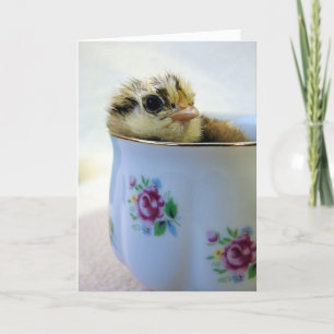 Cartes Pour Fêtes Annuelles Poule aux oeufs de Pâques en coupe