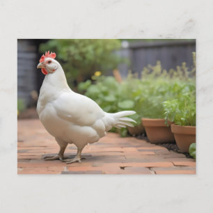 Cartes Pour Fêtes Annuelles Poulet Cornis blanc sur patio