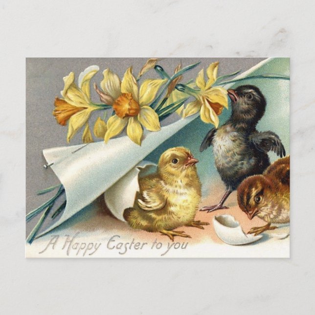 Cartes Pour Fêtes Annuelles Poulet et jonquilles de Pâques vintages (Devant)