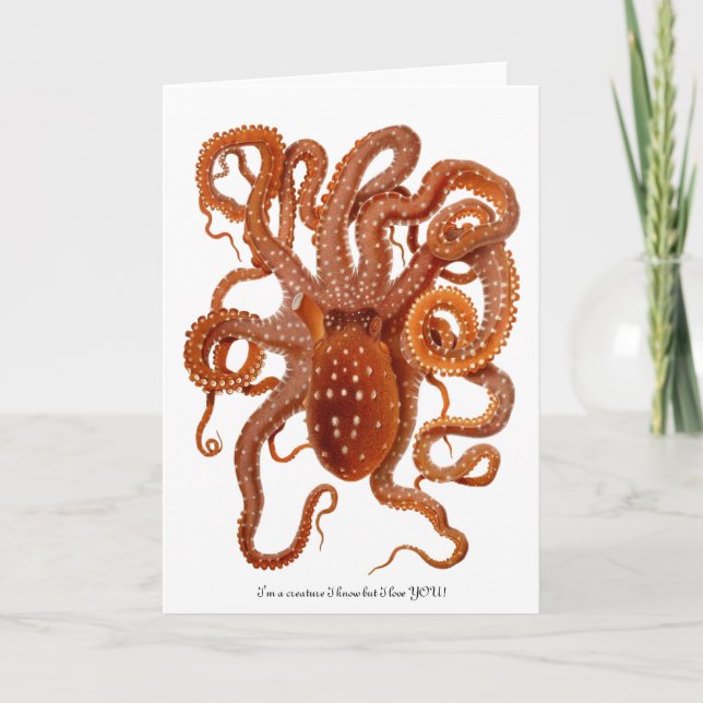 Cartes Pour Fêtes Annuelles Poulpe avec le message d'amusement pour la (Devant)