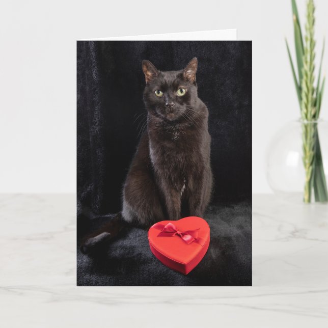 Cartes Pour Fêtes Annuelles Pour tout le monde heureux Valentines Jour mignonn (Devant)