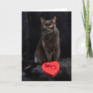 Cartes Pour Fêtes Annuelles Pour tout le monde heureux Valentines Jour mignonn