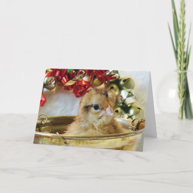 Cartes Pour Fêtes Annuelles Poussin de Noël (Devant)