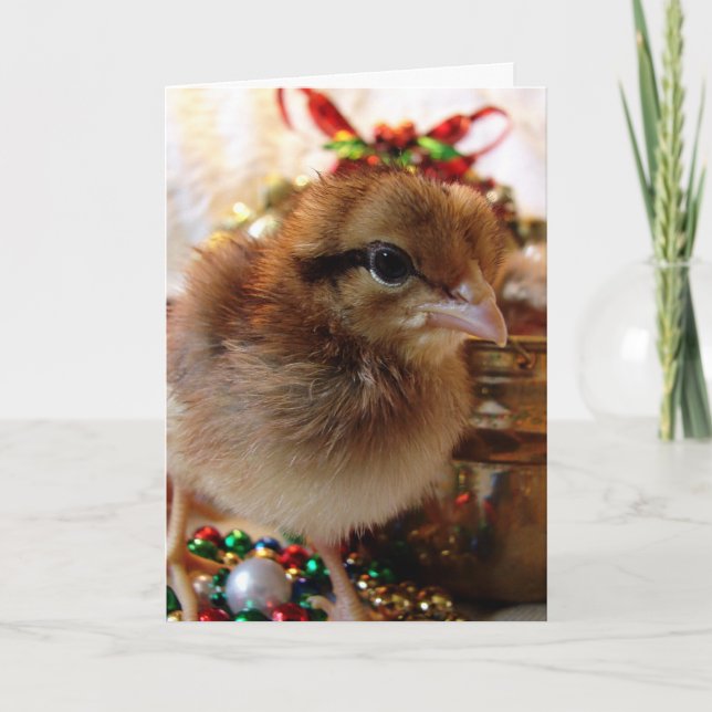 Cartes Pour Fêtes Annuelles Poussin de Noël festif  (Devant)