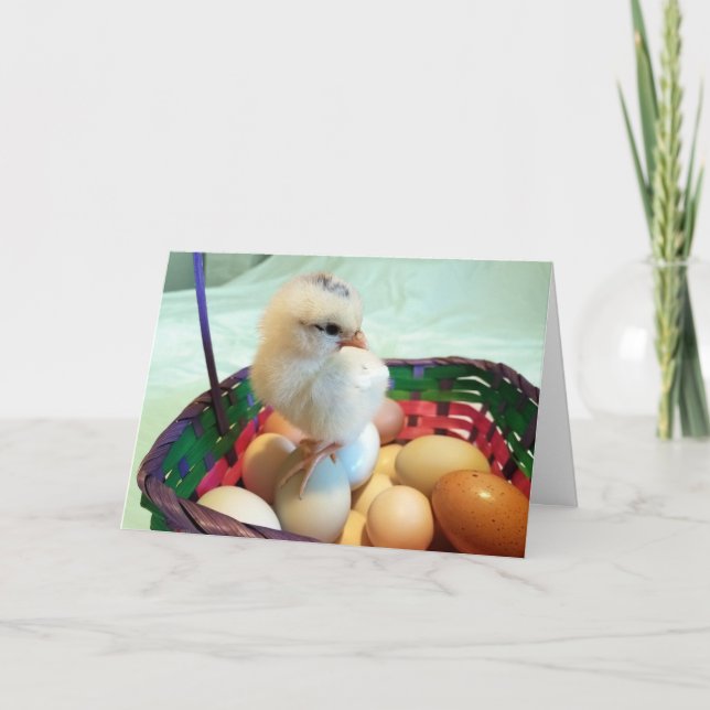 Cartes Pour Fêtes Annuelles Poussin de Pâques dans un panier d'oeufs (Devant)