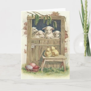 Cartes Pour Fêtes Annuelles Poussin de Pâques Grange Oeuf peint coloré