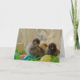 Cartes Pour Fêtes Annuelles Poussins de Pâques