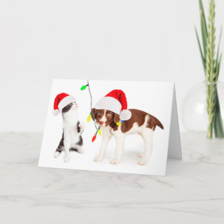 Cartes Pour Fêtes Annuelles Préjudice d'animal familier de vacances