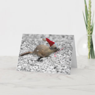 Cartes Pour Fêtes Annuelles premier Noël Jaune-gonflé de marmottes