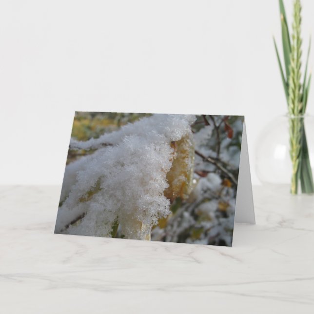 Cartes Pour Fêtes Annuelles Première neige (Devant)
