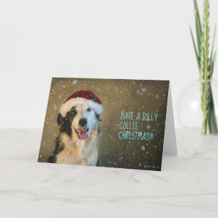 Cartes Pour Fêtes Annuelles Prenez un collie de Noël