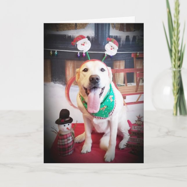 CARTES POUR FÊTES ANNUELLES PRENEZ UN VERRE ET "JETEZ" CE NOËL (Devant)