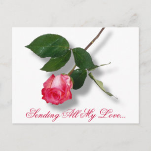 Cartes Pour Fêtes Annuelles Pretty pink single rose
