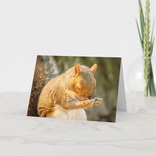 Cartes Pour Fêtes Annuelles Priez Pour Vous Écureuil Avec Les Yeux Fermés (Devant)