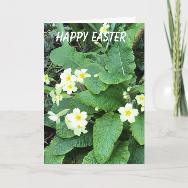 Cartes Pour Fêtes Annuelles Primrose sauvage Pâques (Devant)