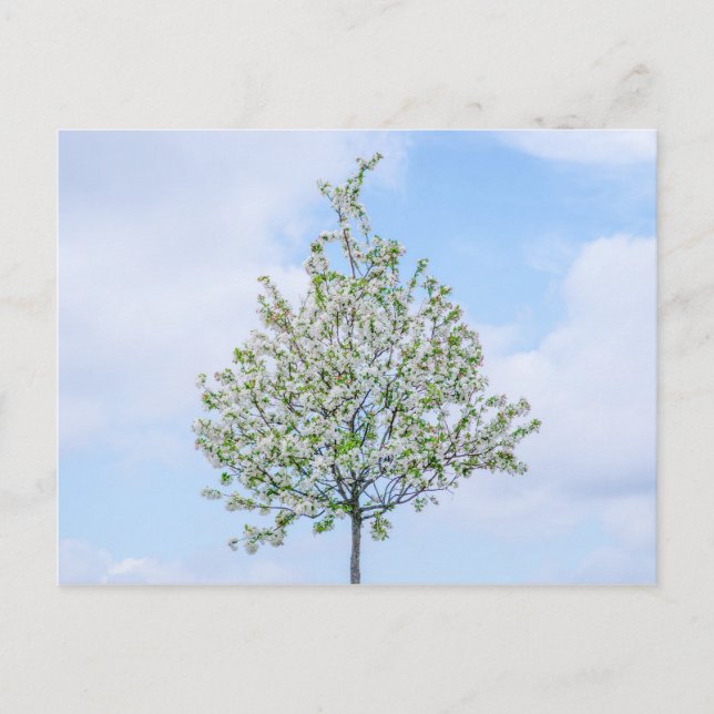 Cartes Pour Fêtes Annuelles Printemps - Bonne Pâques (Devant)