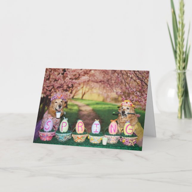 Cartes Pour Fêtes Annuelles Printemps des Golden Retriers à Pâques (Devant)