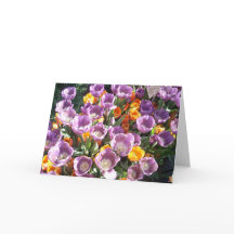 Printemps fleuris un