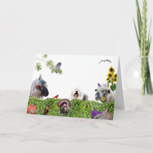 Cartes Pour Fêtes Annuelles Profitez de l'abondance de la terre : HappyThanksg