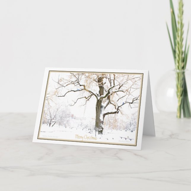 Cartes Pour Fêtes Annuelles Profitez des plaisirs simples de la saison : Vacan (Devant)
