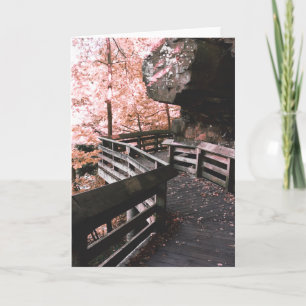 Cartes Pour Fêtes Annuelles promenade brandywine