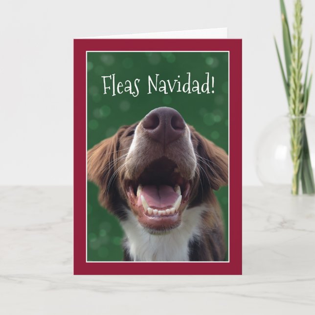 Cartes Pour Fêtes Annuelles Puces Navidad ! Chien humoristique à Noël (Devant)