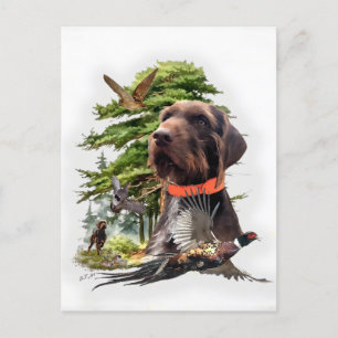 Cartes Pour Fêtes Annuelles Pudelpoteurs