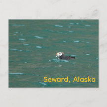 Puffin mangeant du poisson