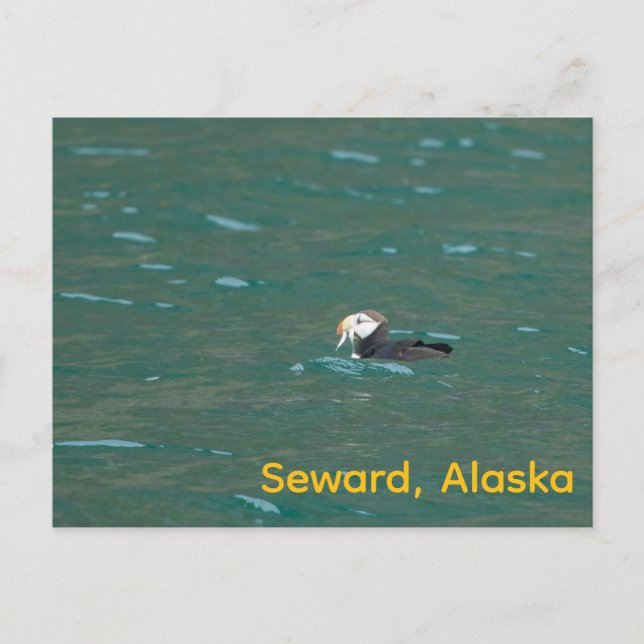 Cartes Pour Fêtes Annuelles Puffin mangeant du poisson (Devant)