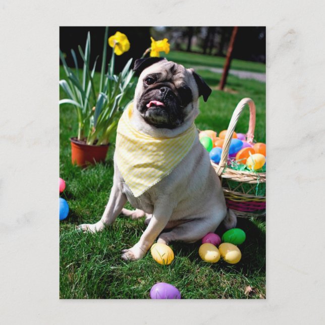 Cartes Pour Fêtes Annuelles Pug Easter (Devant)