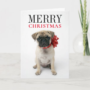 Cartes Pour Fêtes Annuelles Pug Puppy