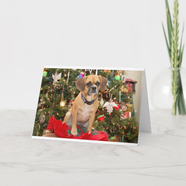 Cartes Pour Fêtes Annuelles Puggle (Devant)