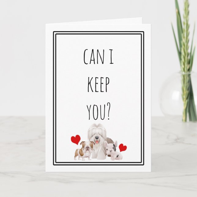 Cartes Pour Fêtes Annuelles Puis-Je Vous Garder ? Funny Valentine (Devant)