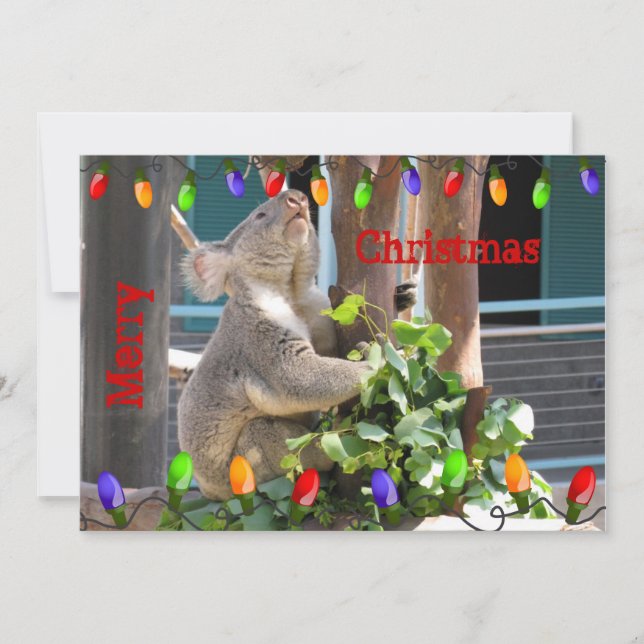 Cartes Pour Fêtes Annuelles Puisse Vos Lumières Briller. Noël de Koala (Devant)