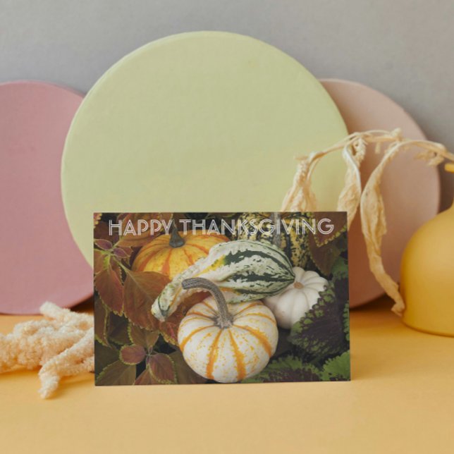 Cartes Pour Fêtes Annuelles Pumpkins and Squash Still Life Photo Thanksgiving (In Situ)