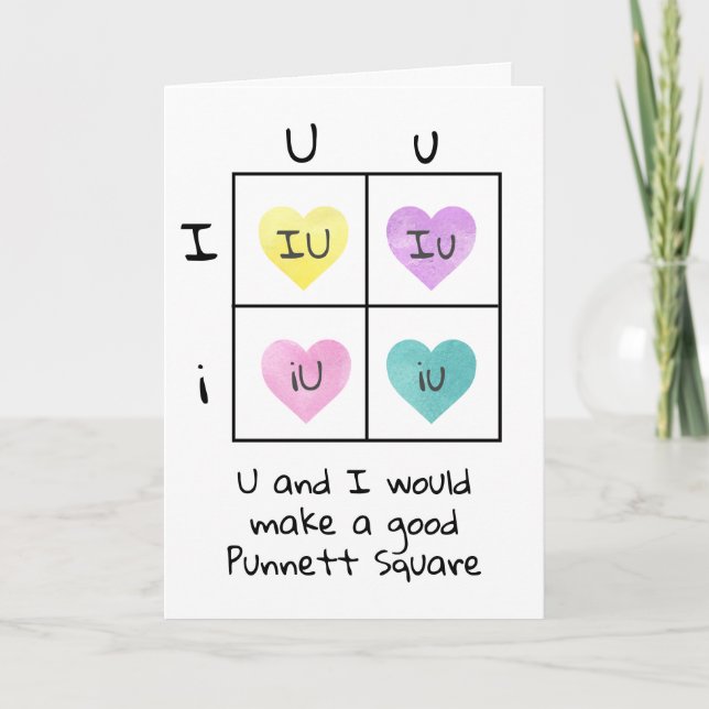 Cartes Pour Fêtes Annuelles Punnett Carré Valentine Biologie Science Chem Nerd (Devant)
