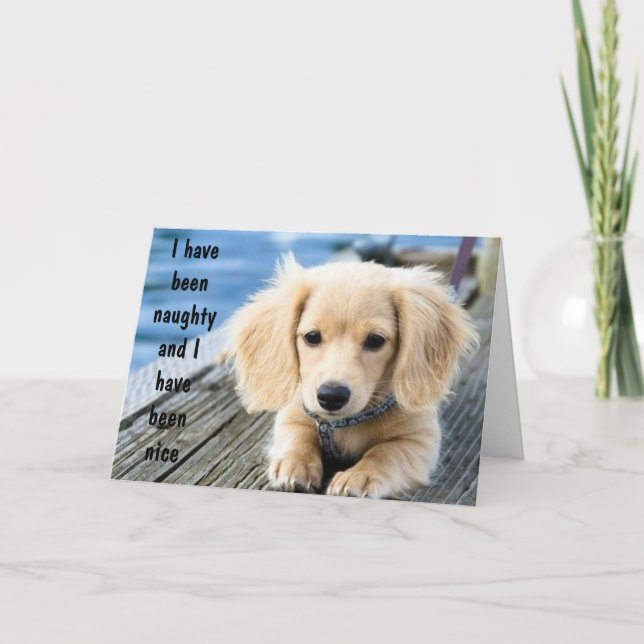CARTES POUR FÊTES ANNUELLES PUPPY A ÉTÉ NEUF/JOLIE À NOËL (Devant)