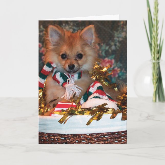 Cartes Pour Fêtes Annuelles Puppy de Christmas (Devant)