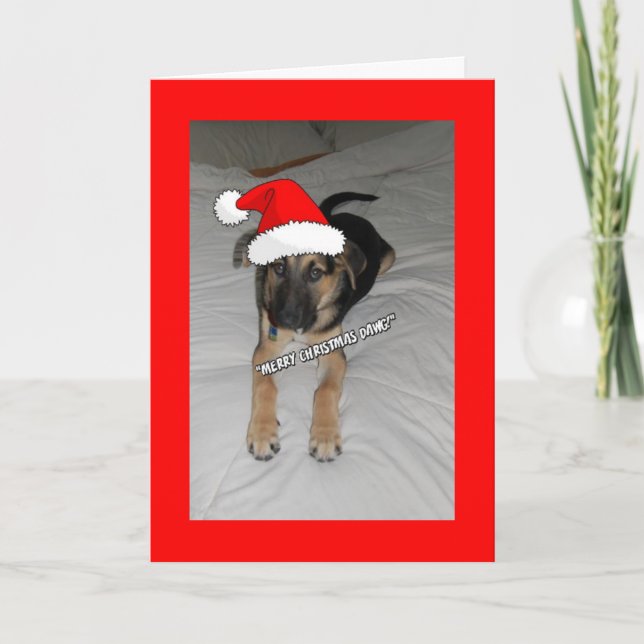 Cartes Pour Fêtes Annuelles Puppy de Merry Christmas (Devant)